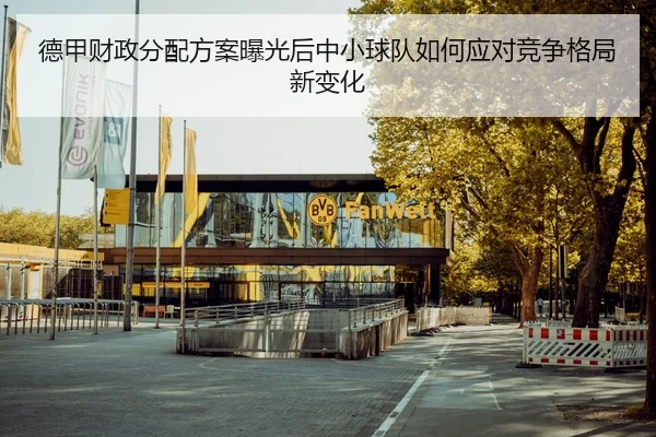 德甲财政分配方案曝光后中小球队如何应对竞争格局新变化